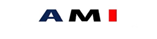 SNSAmi logo