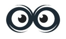 SMM Owl logo
