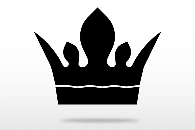 SNM Speed Panel logo