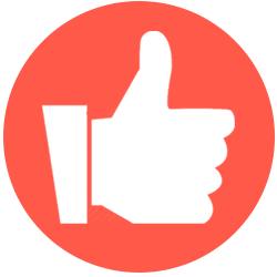 PigoLikes logo