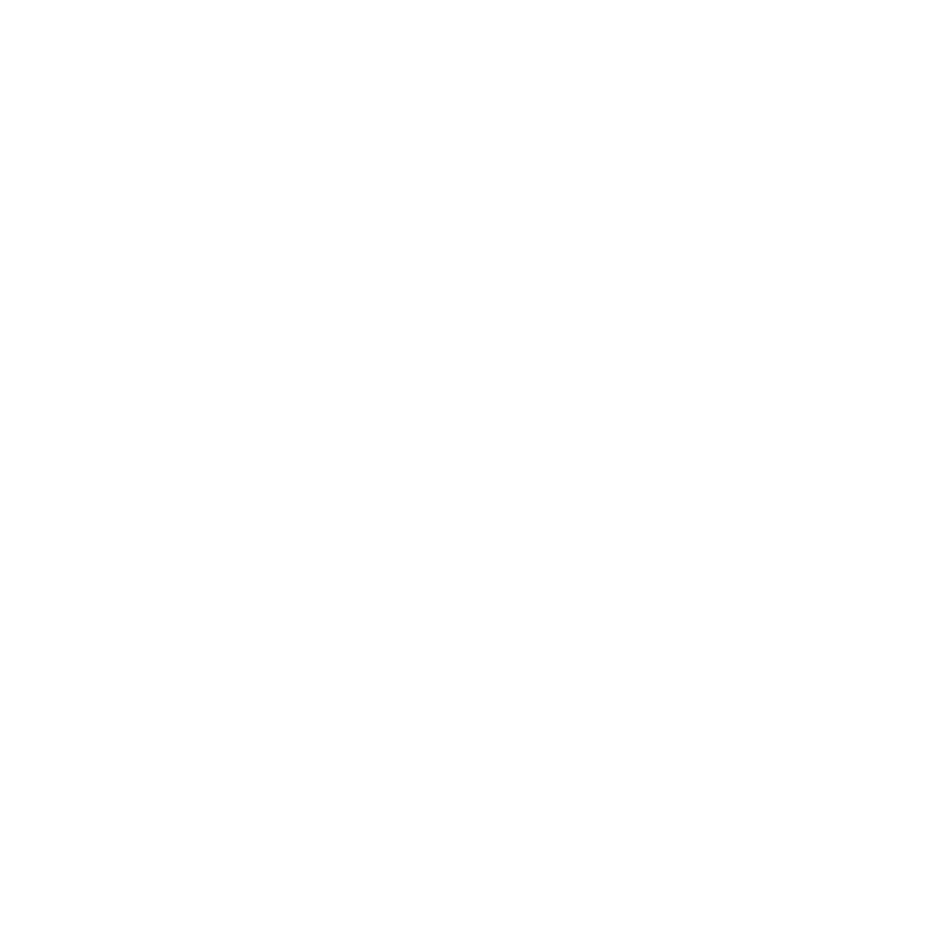 Bisnison logo