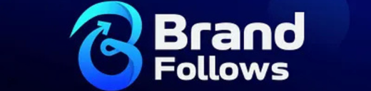 BrandSMM logo