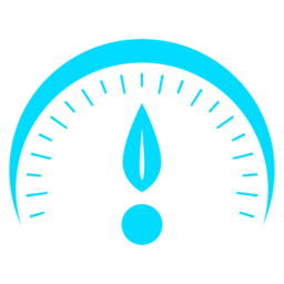 SpeedServiceN1 logo