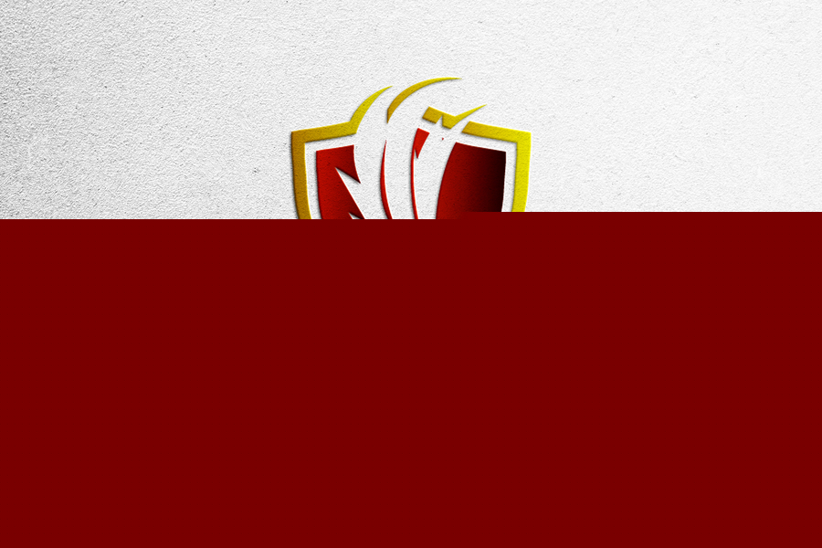 Bird Social Media Followers logo