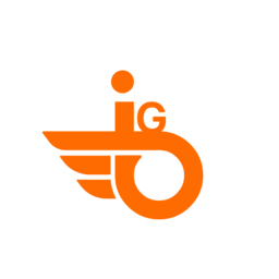 IGSMM logo